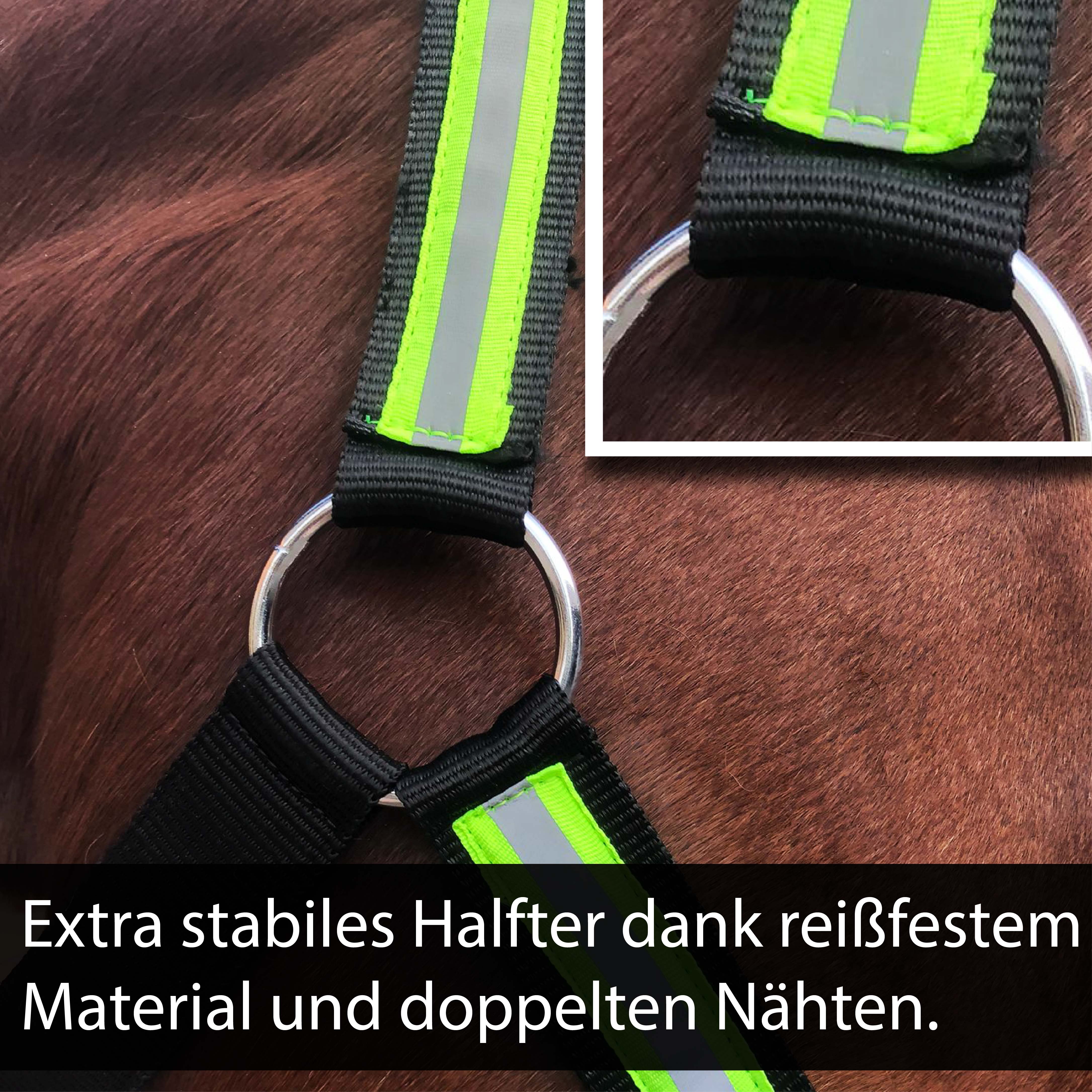 Reflexhalfter Kaltblut für Sichtbarkeit & Sicherheit